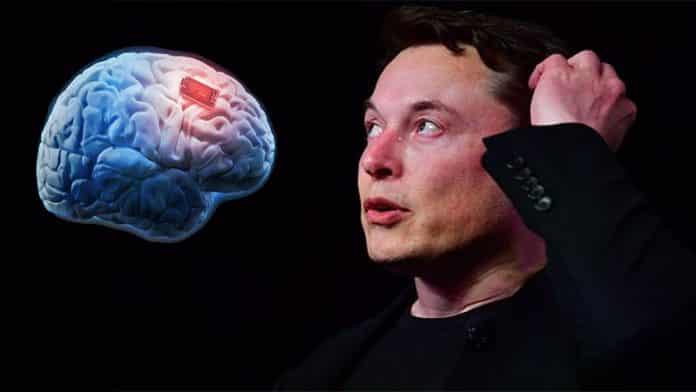 Elon Musk e l'Oscuro Piano dell'Intelligenza Ibrida: quando la mente umana si fonde con l'agenda militare News Academy Italia