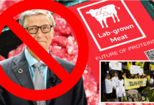 Battuta d'Arresto per l'Agenda del WEF e di Bill Gates in Italia! Via libera al divieto di carne coltivata News Academy Italia