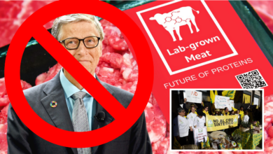 Battuta d'Arresto per l'Agenda del WEF e di Bill Gates in Italia! Via libera al divieto di carne coltivata News Academy Italia