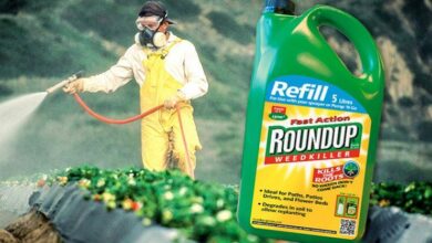 Bayer's Monsanto Colpita con una Sentenza da 1,5 Miliardi di Dollari per il Roundup News Academy Italia