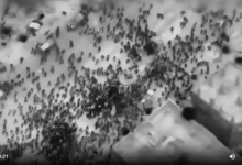 Nuovo massacro a Gaza: oltre 100 palestinesi uccisi mentre raggiungevano aiuti umanitari, droni inseguono i bambini in fuga, il bilancio delle vittime supera i 30.000 civili News Academy Italia